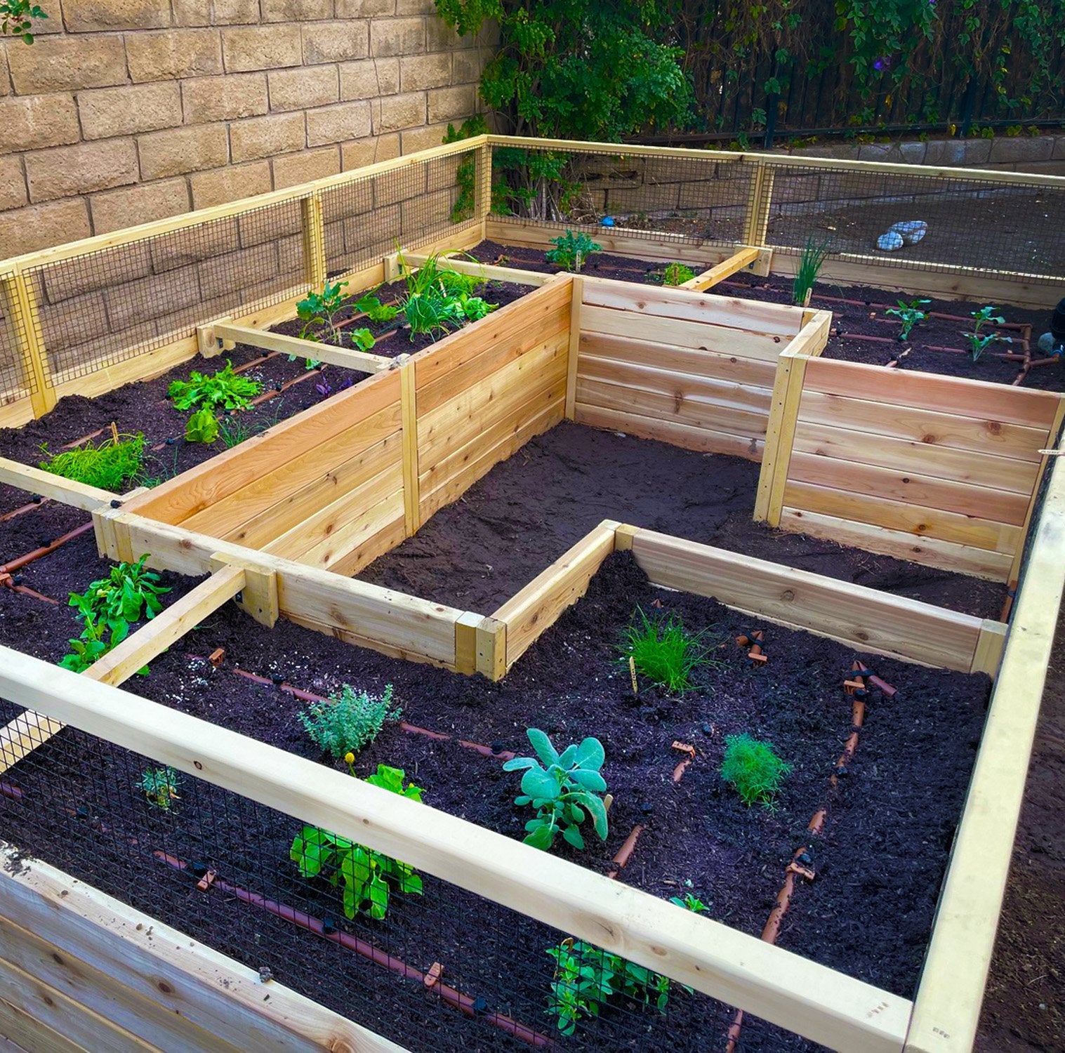 Deer Proof Raised Garden Bed | 12×8