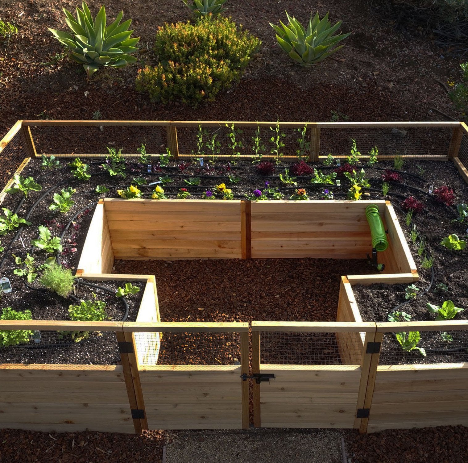 Deer Proof Raised Garden Bed | 12×8