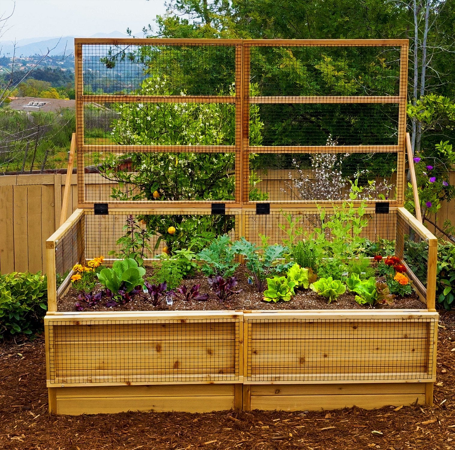 Raised Garden Bed 6×3 with Lid / Trellis