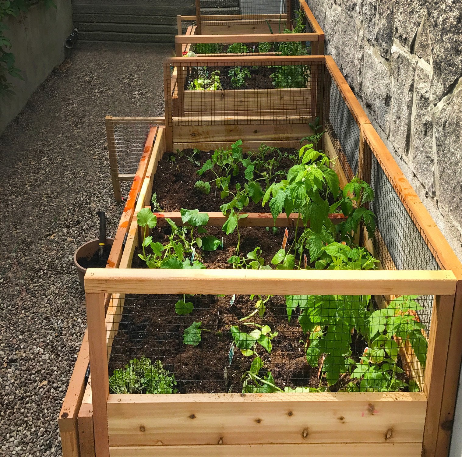 Raised Garden Bed 6×3 with Lid / Trellis