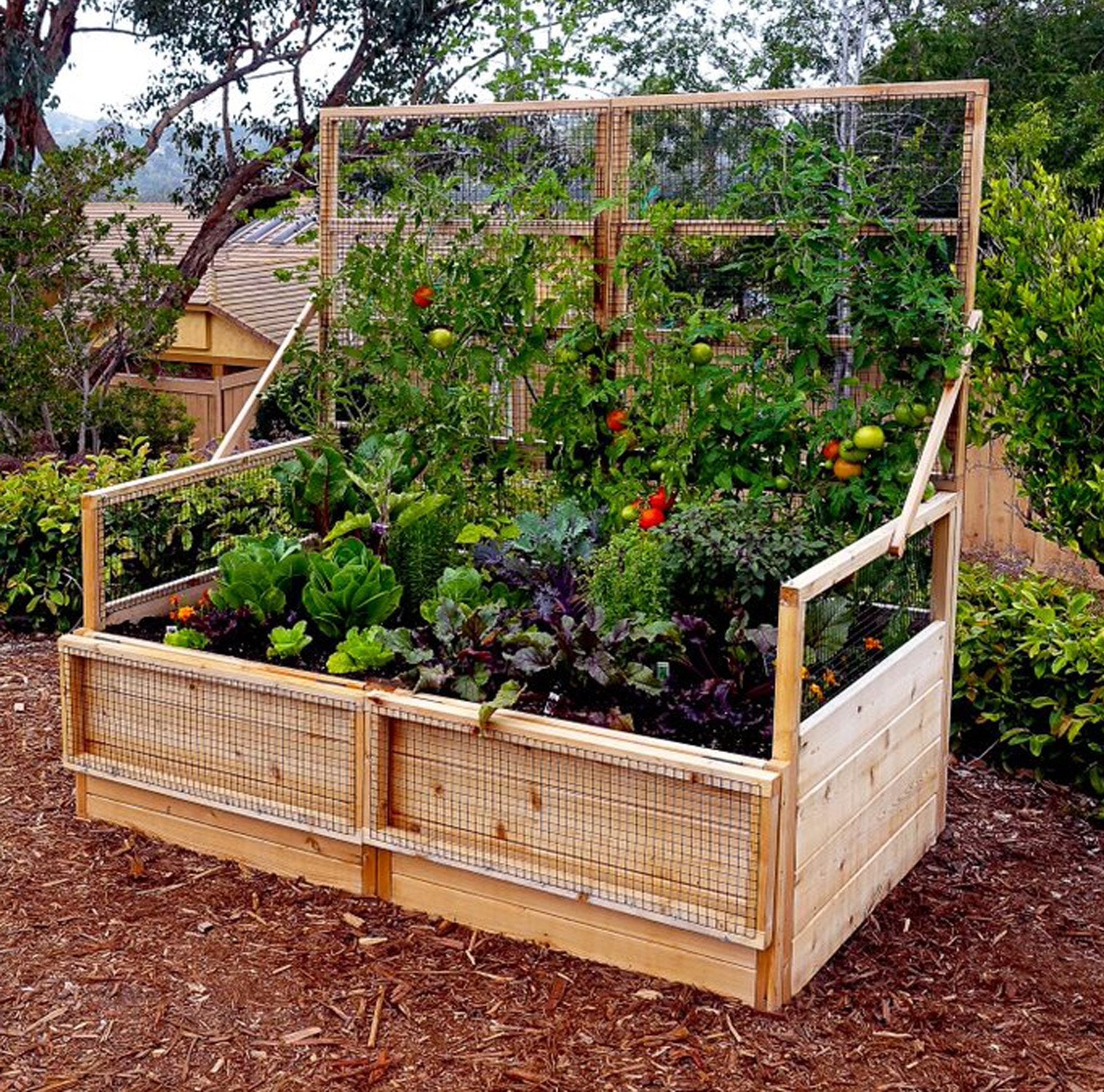 Raised Garden Bed 6×3 with Lid / Trellis