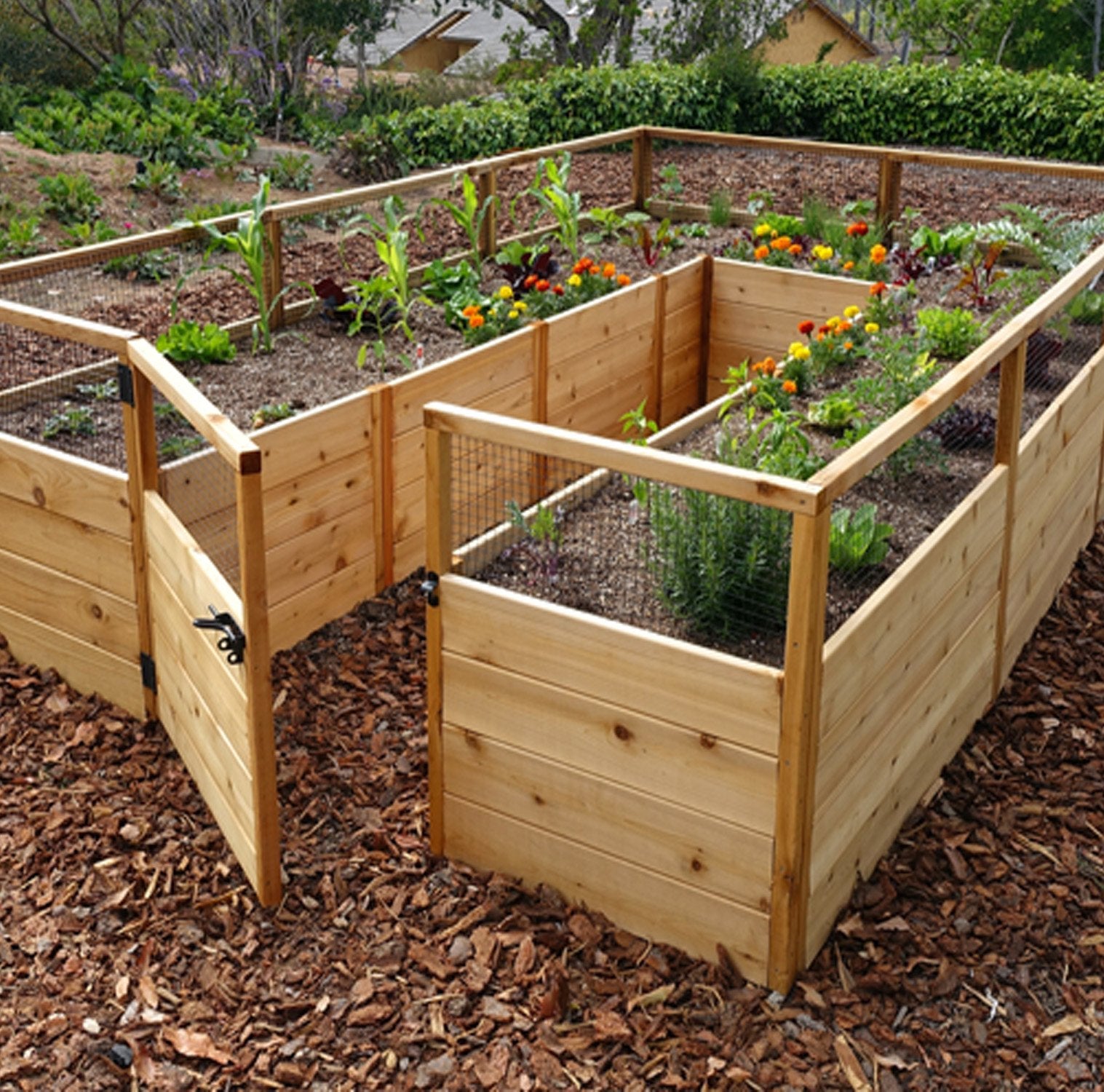 Raised Garden Bed | 8×12