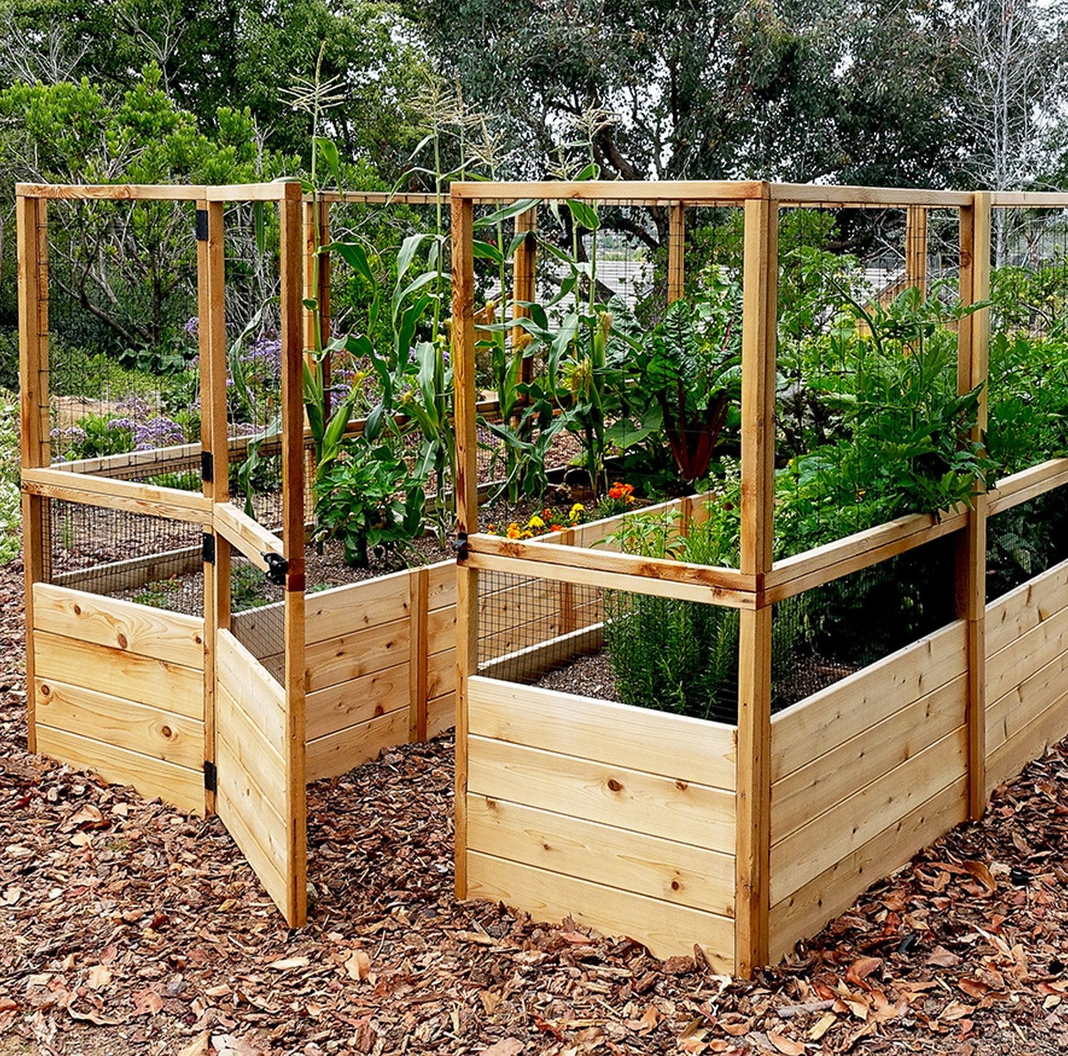 Deer Proof Raised Garden Bed | 8×12