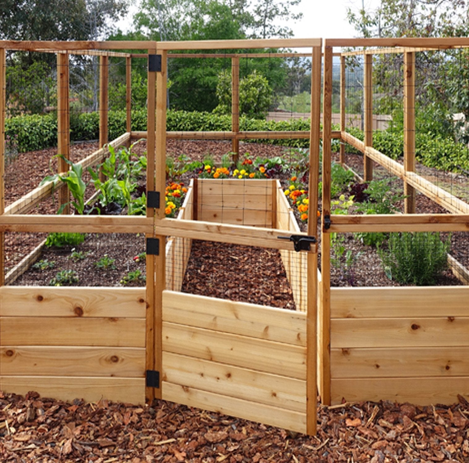 Deer Proof Raised Garden Bed | 8×12