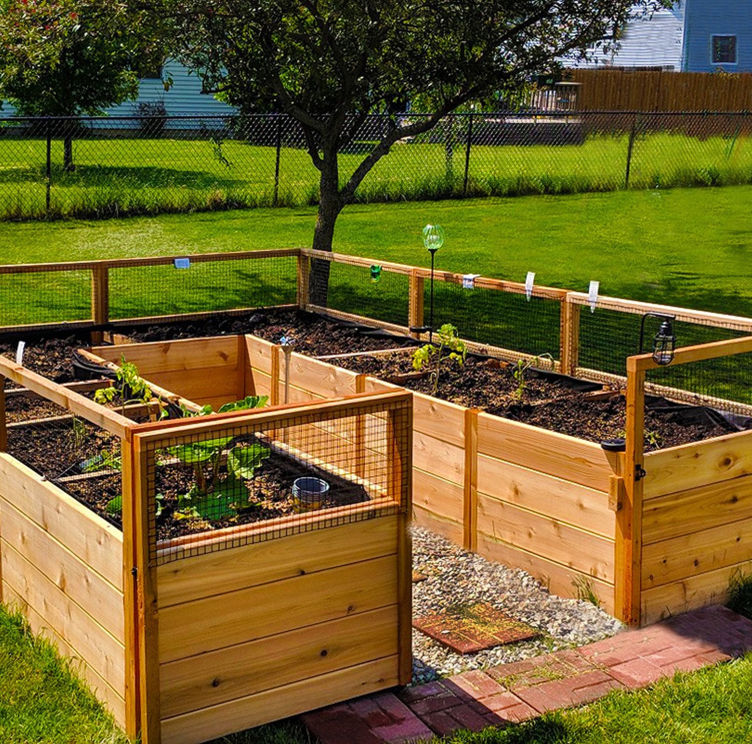 Deer Proof Raised Garden Bed | 8×12