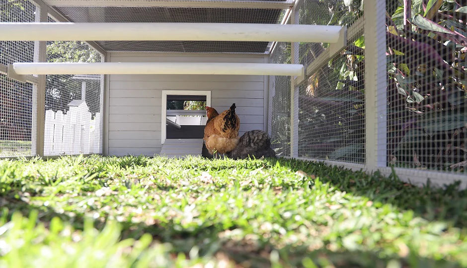 The Bed & Breakfast Chicken Coop