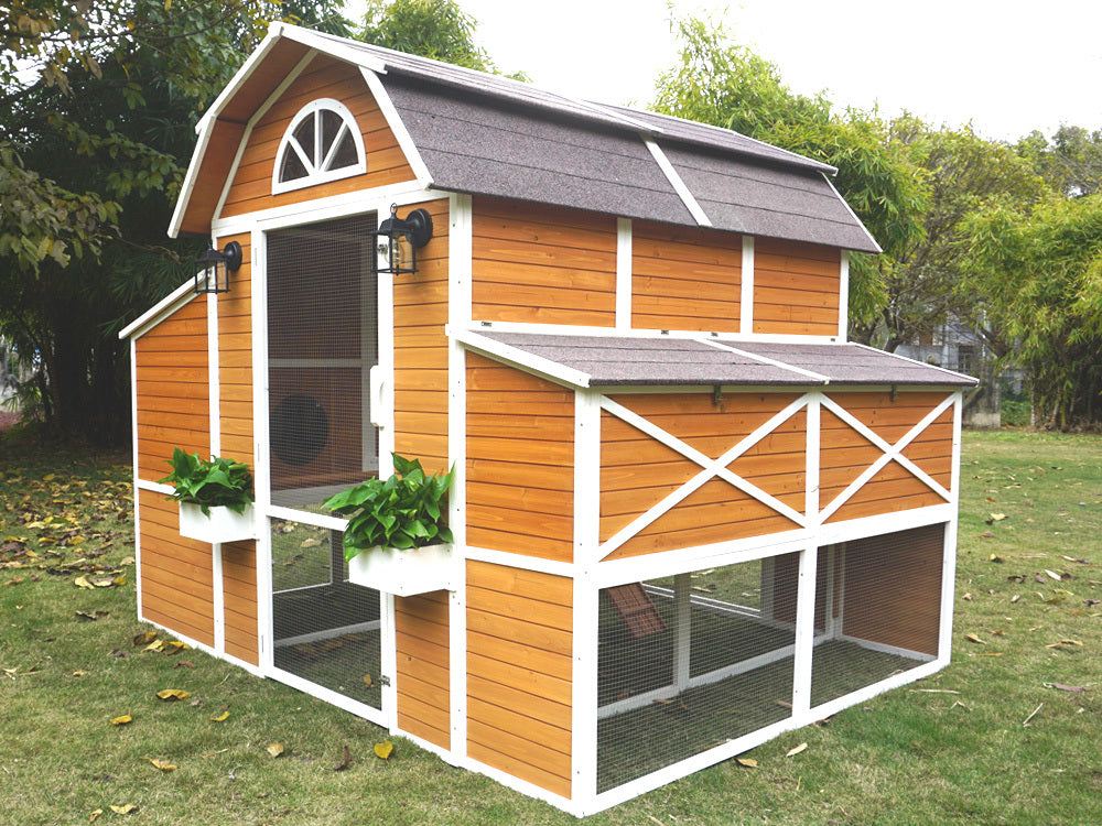 Chicken Coops