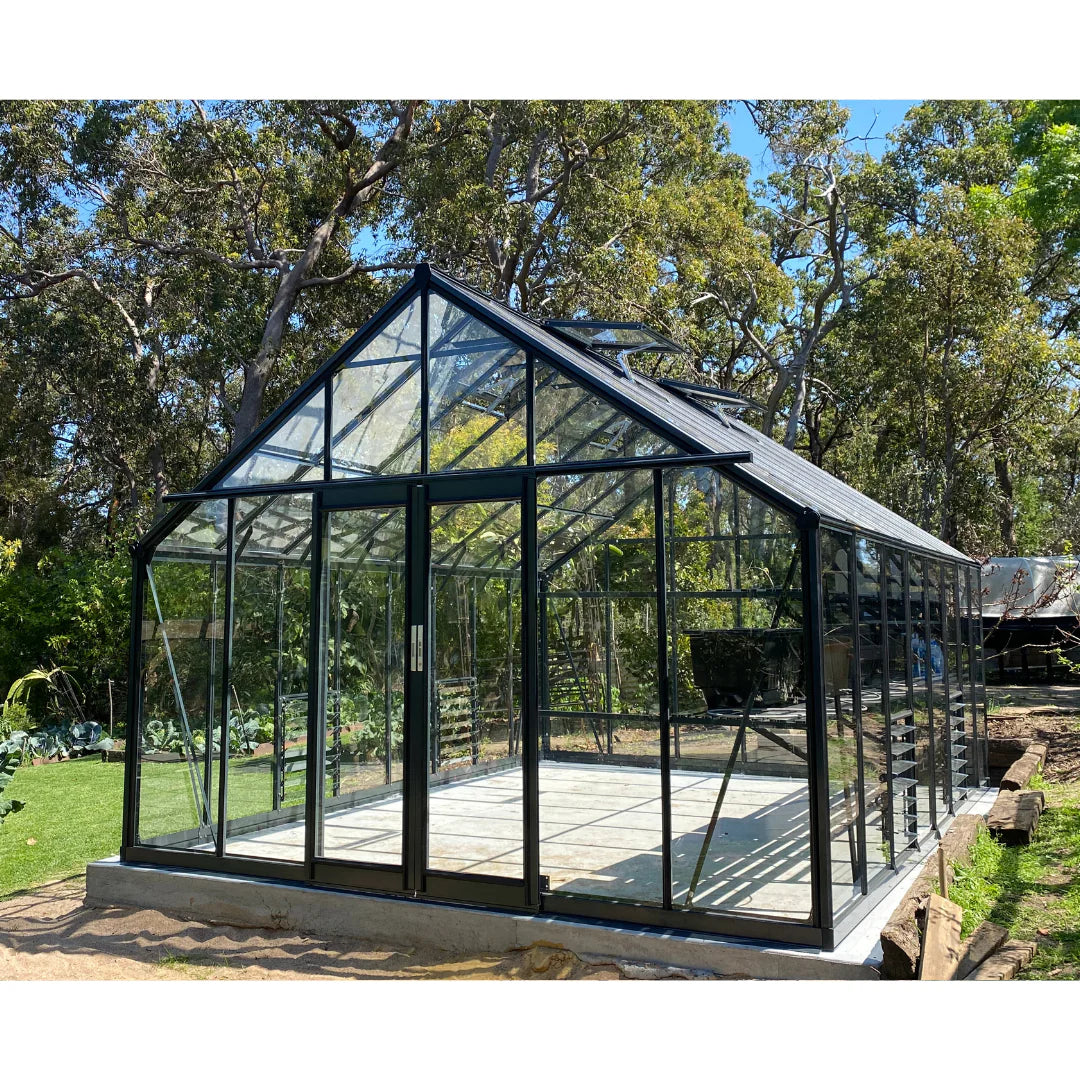 Regalia Grandio Glasshouse Deluxe