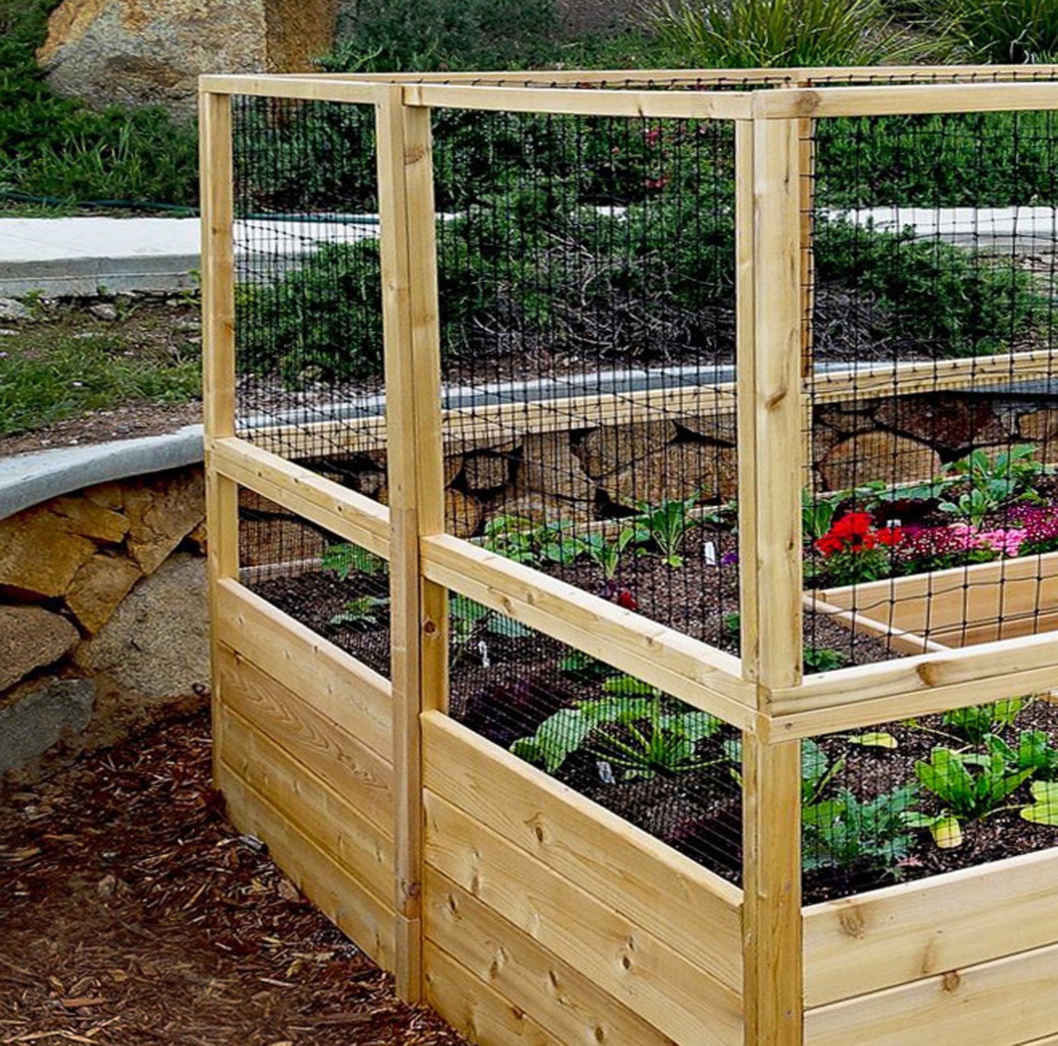 Deer Proof Raised Garden Bed | 12×8